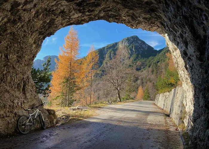 아파트 Ivonne 보베츠